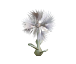 Dandelion - New Super Lucky's Tale