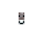 Donkey