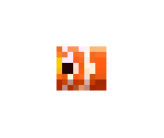 Clown Fish
