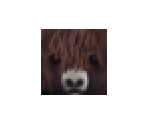 Yak (HD)