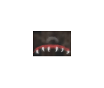 Drop Bear (HD)