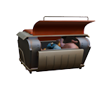 Dumpster - My Time at Portia