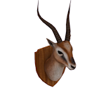 Gazelle Head
