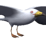 Seagull - Tony Hawk's Pro Skater 3 + 4