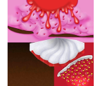 Food - My PomPom