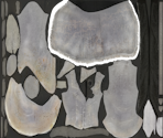 White Church Garb - Bloodborne