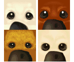Dogs - Petz Dogz Fashion