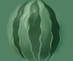 Watermelon - Survive Bikini Bottom (Roblox)