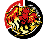 Radiance Phoenix - Beyblade X: Evobattle