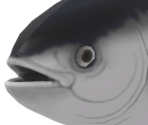 Tuna - Game Builder Garage