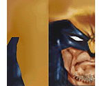 Wolverine - Tony Hawk's Pro Skater 3
