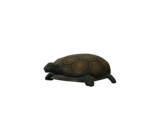 Turtle Shoulder Friend - Roblox