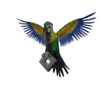 Juca Arararinha - Roblox