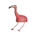 Head Ornament - Roblox