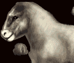 Horse - Curse: The Eye of Isis
