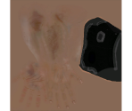 First-Person Arms - Serious Sam HD: The First Encounter