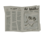 Newspaper