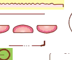 Strawberry Shortcake - Sweets Chara: Sweets Gakkou e Youkoso!