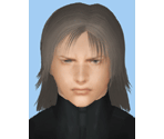 Raiden - Evolution Skateboarding