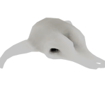 Skull (Animal) - Alekon