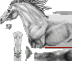 2. Death - Hexen II