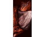 Flauros - Silent Hill: Origins