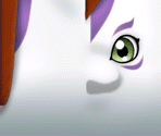 Gomamon - Digimon Adventure (JPN)