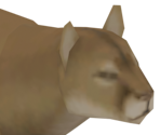 Cougar - Cities: Skylines