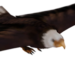 Eagle