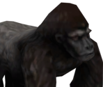 Gorilla