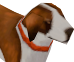 St. Bernard Dog
