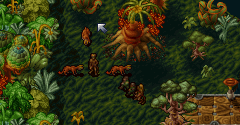 Albion (1995) - Albion (1995)