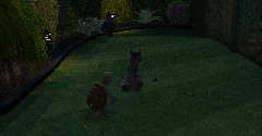 Over the Hedge - Over the Hedge