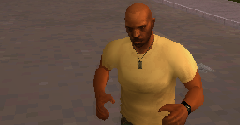 Grand Theft Auto: Vice City Stories - Grand Theft Auto: Vice City Stories