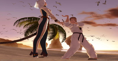 Dead or Alive 3 - Dead or Alive 3