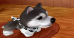 The Dog Island - The Dog Island
